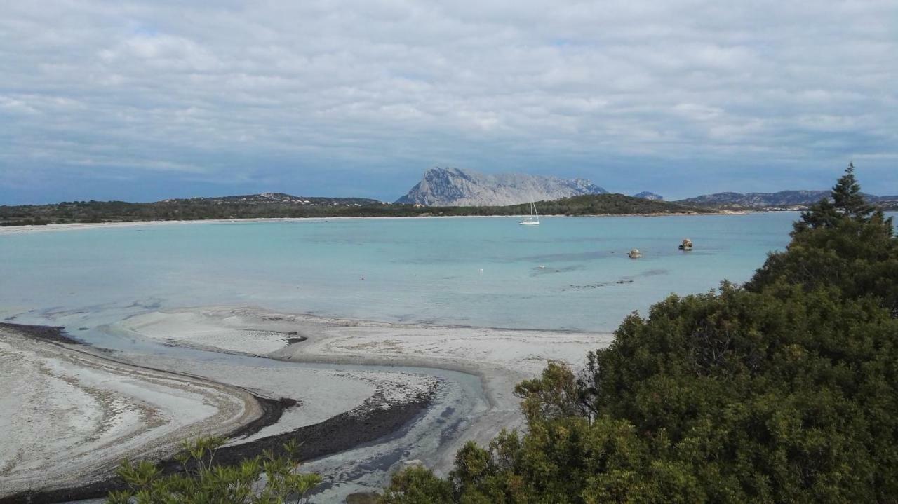 Appartamenti Sardegna Порто-Сан-Паоло Экстерьер фото