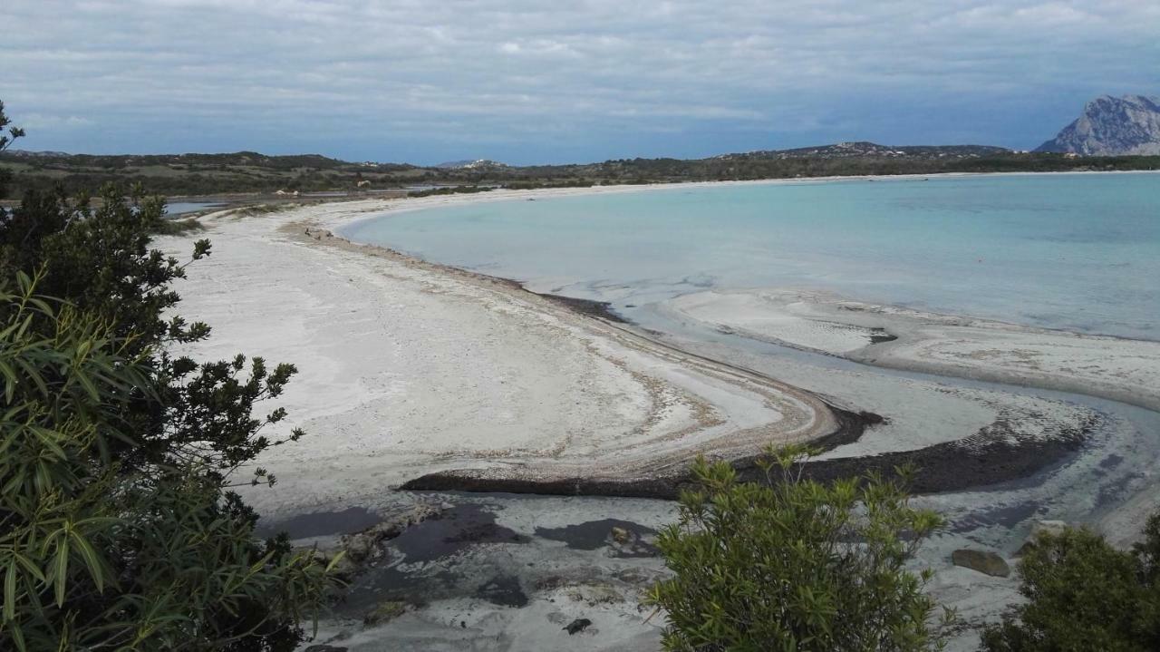 Appartamenti Sardegna Порто-Сан-Паоло Экстерьер фото