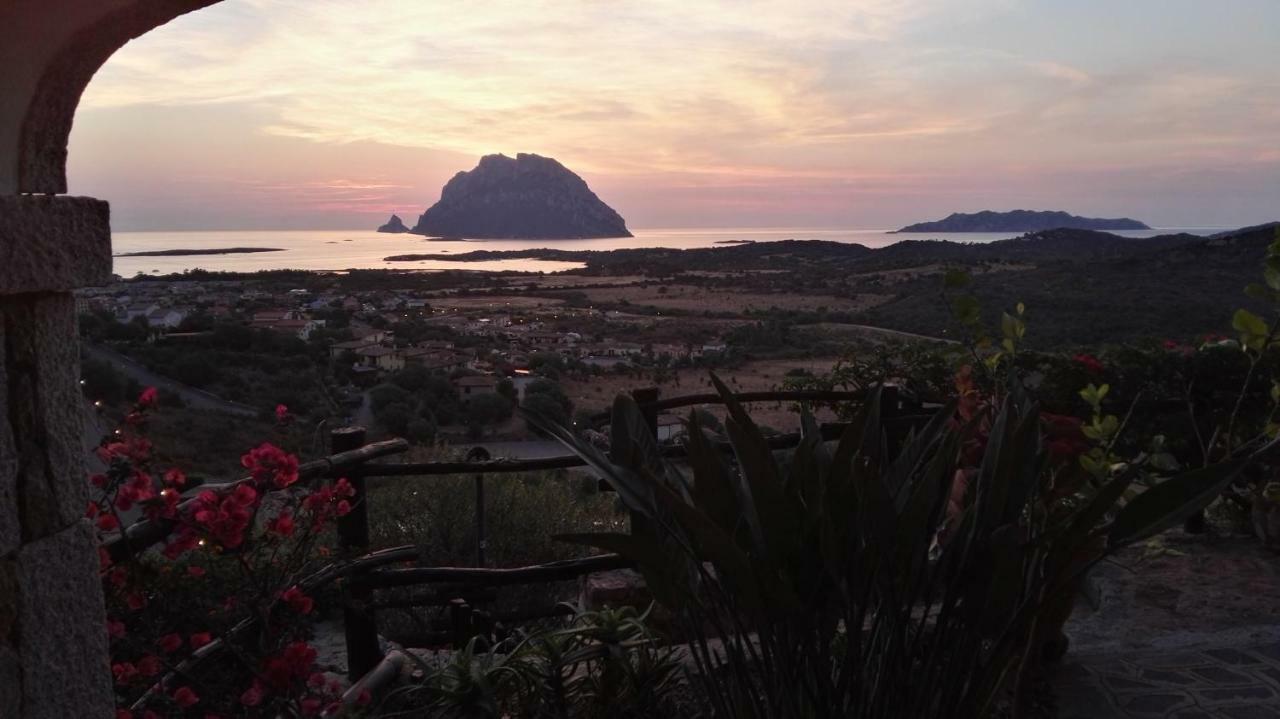 Appartamenti Sardegna Порто-Сан-Паоло Экстерьер фото